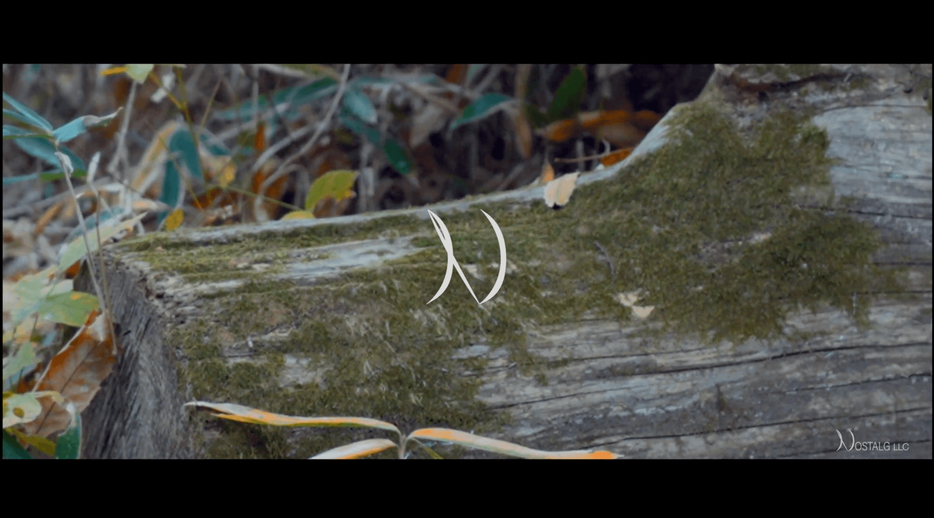 Integrated Design & Content Production Solutions